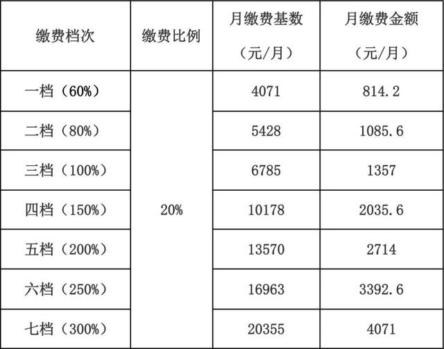 养老保险怎么交网上缴费，养老保险怎么交网上缴费微信（2023年你的社保这样缴）