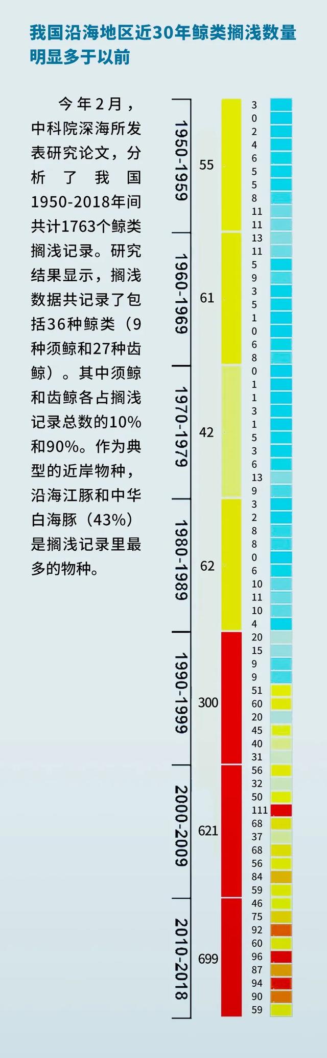 为什么鲸鱼会搁浅，为什么鲸鱼会搁浅英语（有“鲸”无险——鲸鱼搁浅背后发生了啥）