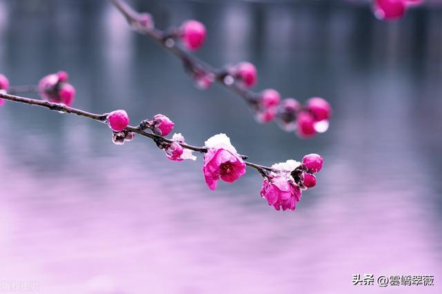 射手男和水瓶女配对指数，射手男与水瓶女的配对分析（水瓶座男婚配射手座女的适配指数）