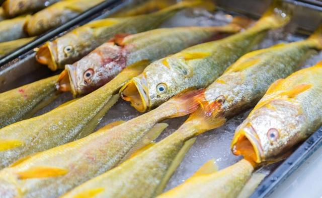 黄花鱼是深海鱼吗，带鱼黄花鱼是深海鱼吗（菜市场看见千万别手软）