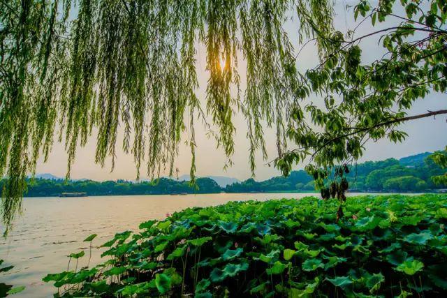 春天去哪里旅游好，这才是春天最值得去的20个地方（中国最美的30个地方）