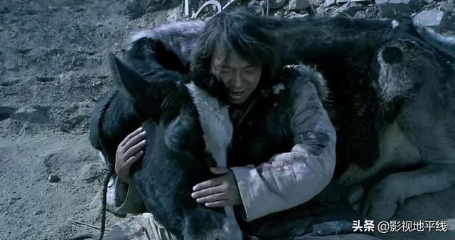 孙子从美国来的演员，孙子从美国来孙子是谁演的（被片名耽误的五部国产佳作）