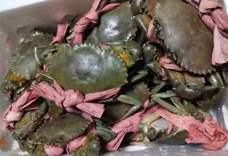 青蟹价格飙升至每只最高250元，品质珍稀成市场抢手货