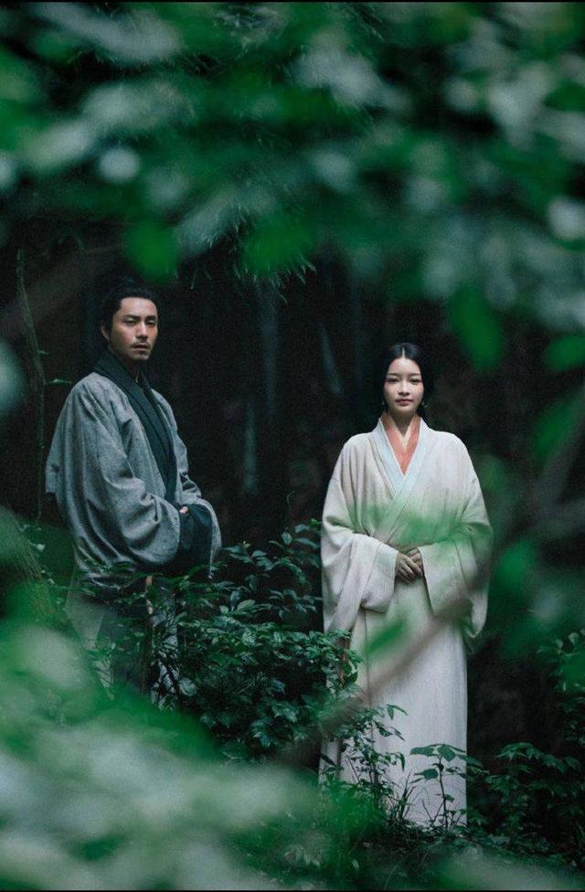 狐步谍影剧情介绍，狐步谍影剧情介绍电视猫（追剧五一。央视新剧带你进入不一样的三国时代）