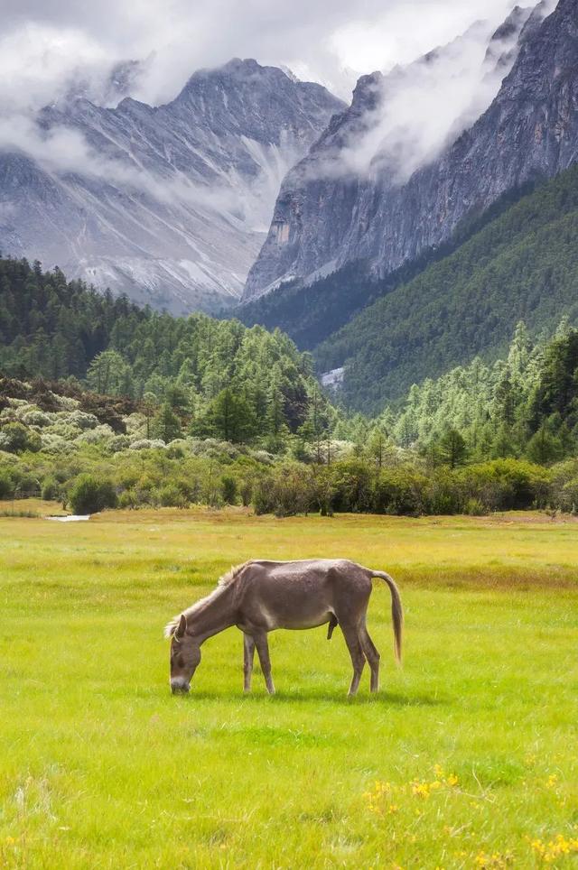 318旅行沿途风景地图，不期而遇的风景向你扑面而来……