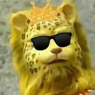 金钱豹头像图片，金钱豹头像✨微信（最全金钱豹头像！请叫我谢谢）