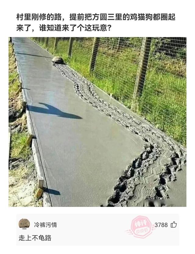 傻的反义词是什么，请问呆若木鸡的反义词是什么（十四个人的群取个啥名霸气又有福气）