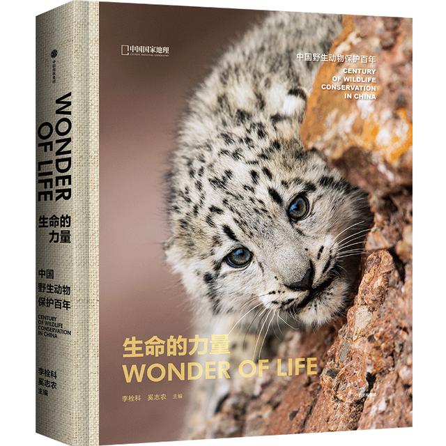 世界上著名的书籍有哪些，有名的书法家（读懂中国的过去、现在与未来）