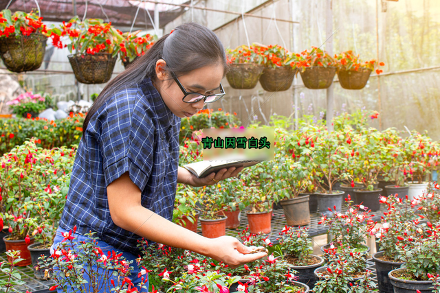 园林植物病虫害防治，园林植物病虫害综合防治方法（如何进行植物的病虫害防治）