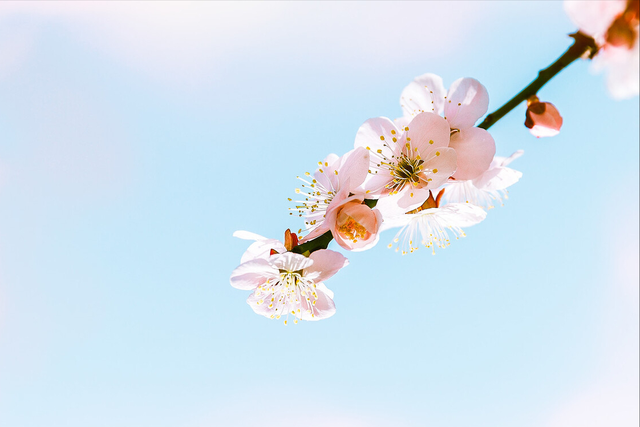 你是我一生的牵挂，唯一的爱你是我一生的牵挂（你是我，一生的牵挂）