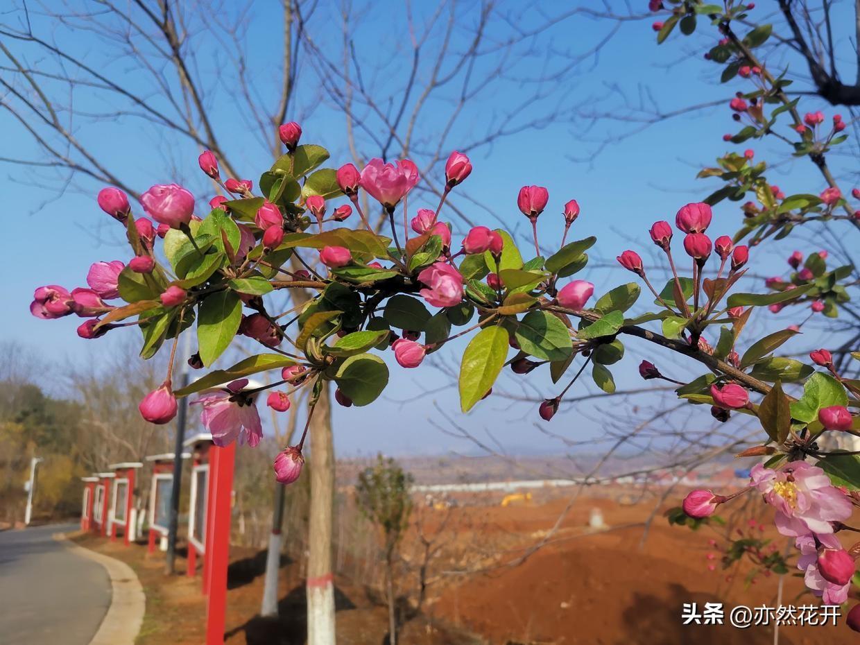 宣传文案怎么写（宣传文案的写作的3大技巧解析）