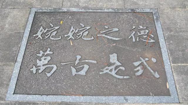 书画村在哪里，中国画家村在哪里（，书画圣地—浙江东衡村）