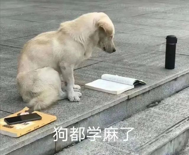 英语4级报名时间，2023年英语4级报名时间（12月英语四六级考试时间确定）