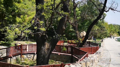 北京西山森林公园，北京西山森林公园登山路线推荐（西山国家森林公园）