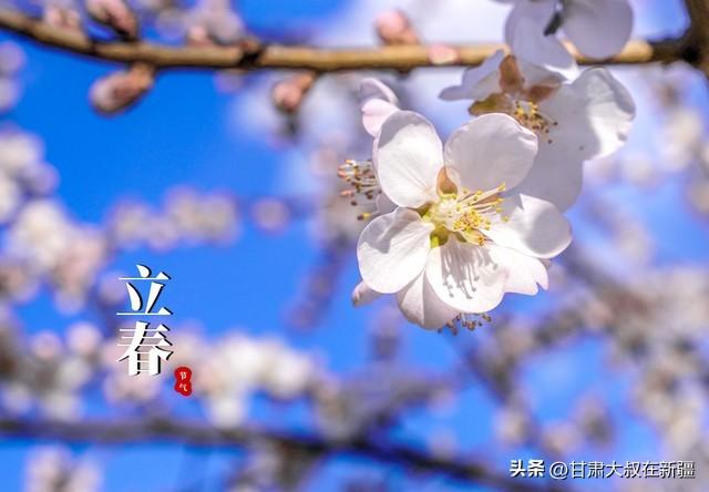 坪坝是什么意思，的意思是什么（天气预报：今日立春）