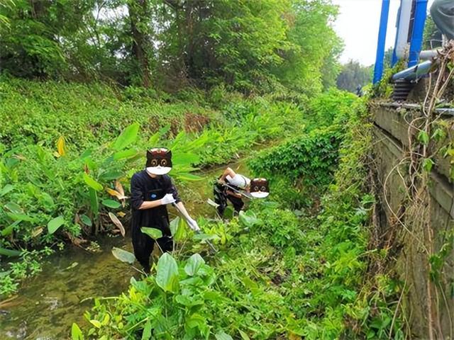 谎报案情有哪些后果，什么叫谎报案情（谎报警情和谎报案情的区别）
