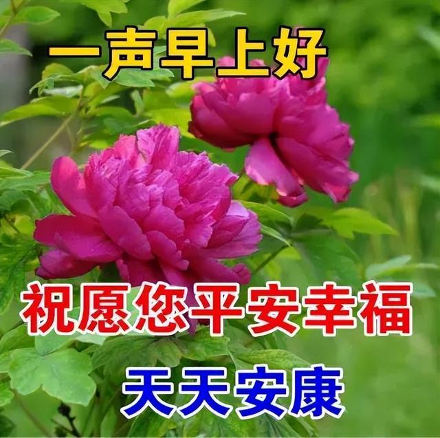 早晨充满正能量的句子，早晨充满正能量的句子简短（正能量早上好阳光语录大全）