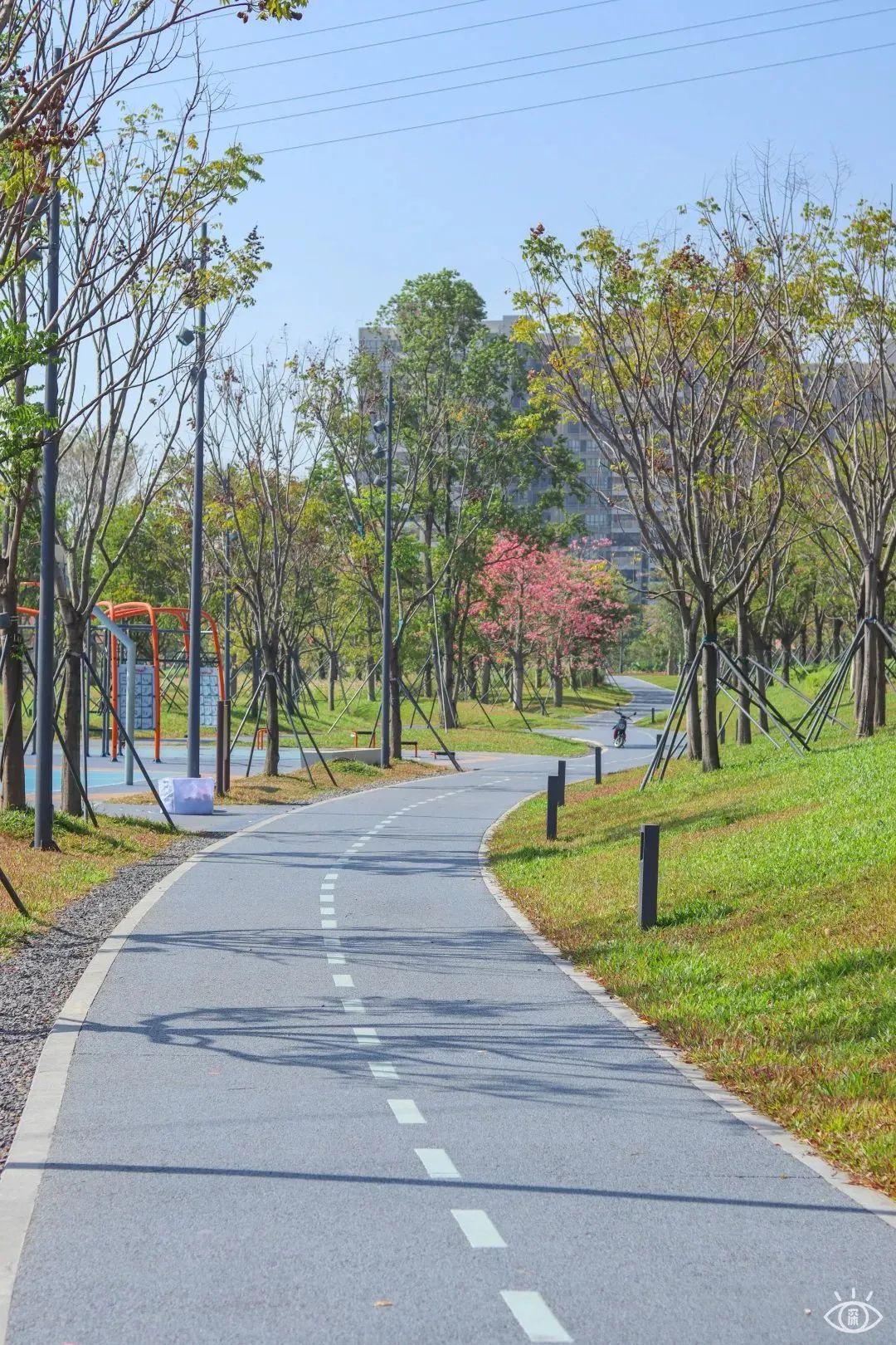 宝安中心地铁站(宝安客运中心附近地铁站)