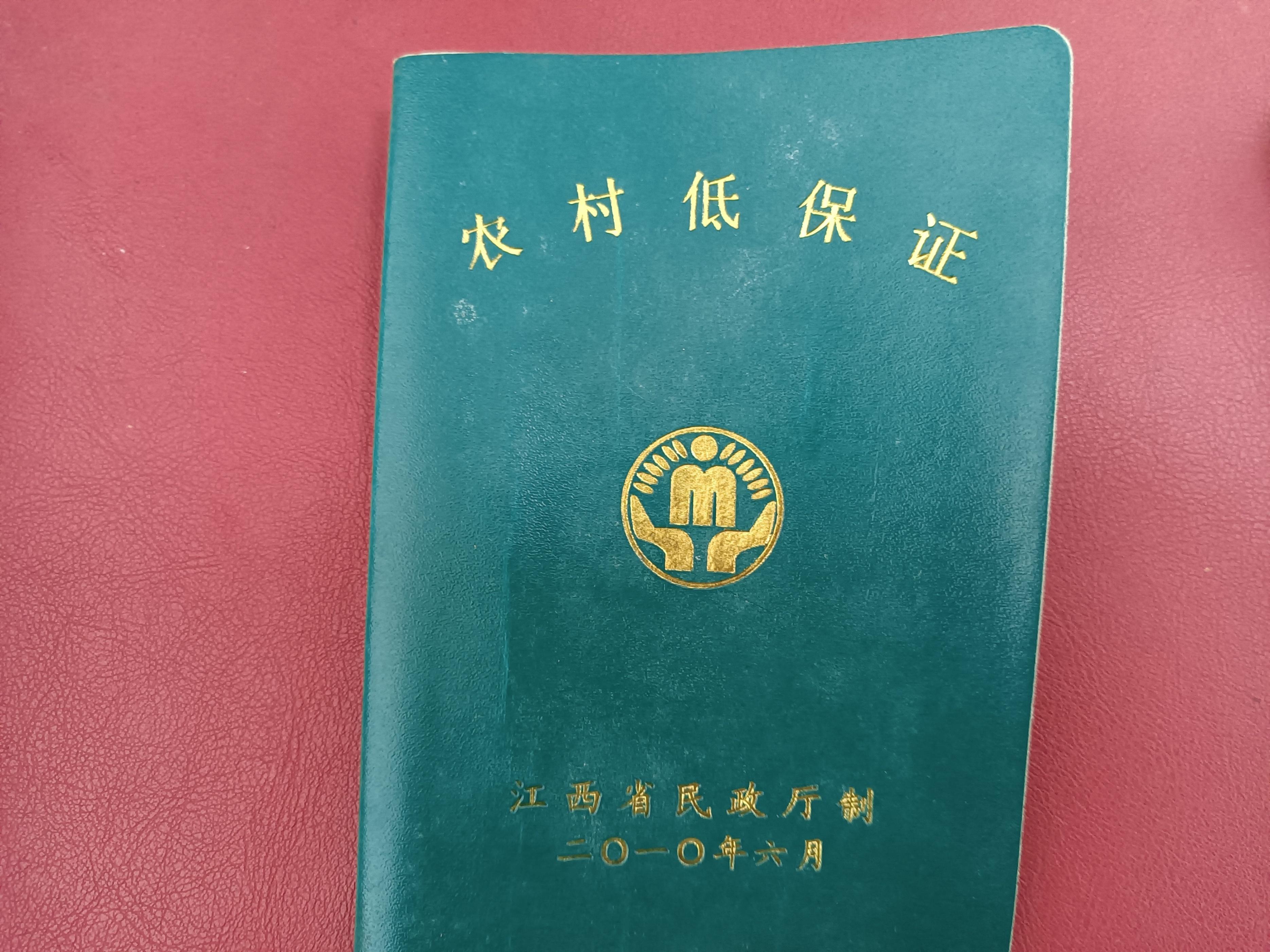 申请政府补贴的条件，申领政府补贴的条件（政府的民政救助又有哪些呢）