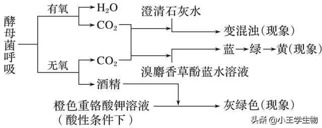 溴麝香草酚蓝怎么来的，高中生物易错题NO.7