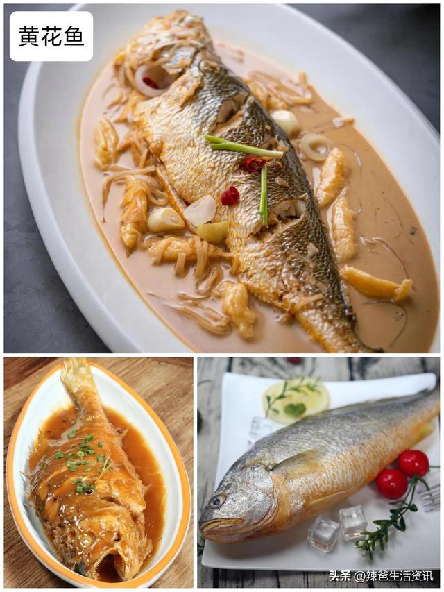 海鱼的做法大全，五种海鱼的美味做法（8种宴席“镇桌主菜”的海鱼）