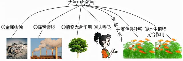 红磷在空气中燃烧，红磷在空气中燃烧的现象（初中化学——空气选择题模拟篇）
