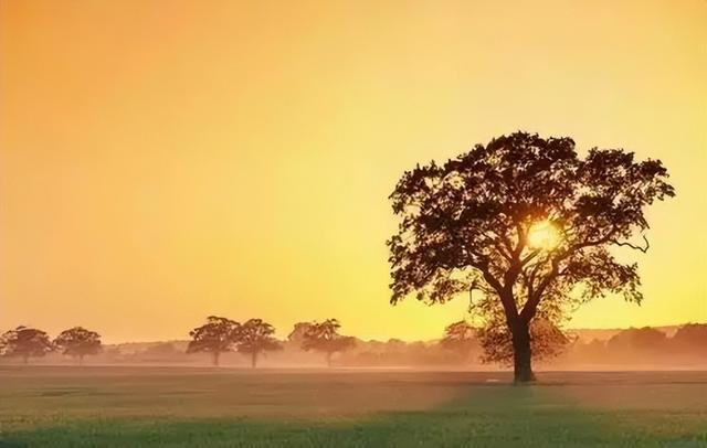 座右铭简短精练，简短精练的座右铭有哪些（50句人生格言励志座右铭）