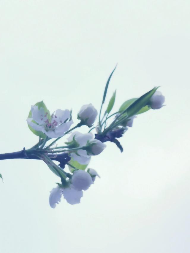 嗬怎么读，嗬怎么读（嗬的读音（围场方言大全一百九十七）