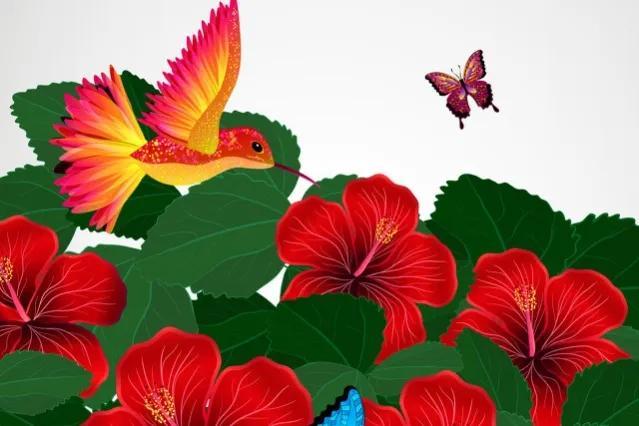 张志芬(老人无德) - 好工作