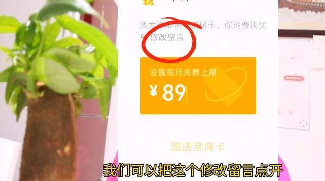 新微信号怎样开通微信支付，新微信号怎样开通微信支付码（微信里没有零钱未绑银行卡）