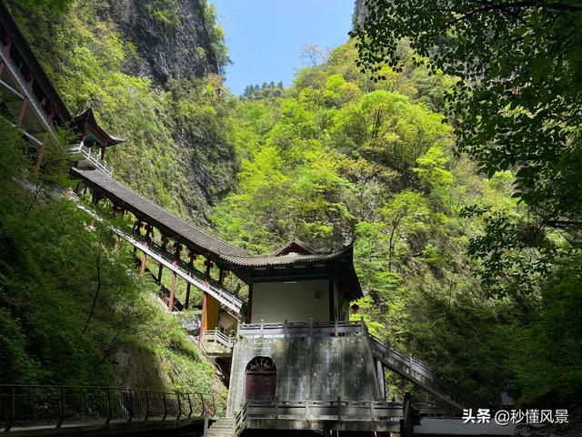 金丝峡景区七月免门票不，适合避暑遛娃拍照而且七月半价