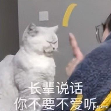 扑棱蛾子是什么梗，扑棱蛾子是什么梗贝斯（听说他换头是靠p的）