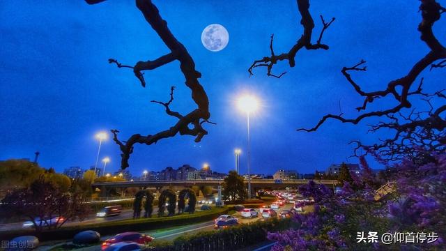 短现代诗摘抄，10首很短的现代诗是什么（精选现代诗名句摘抄<十三>）