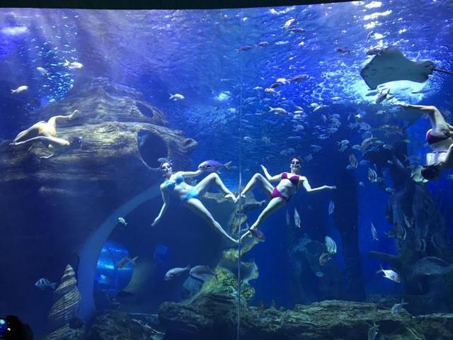 贵州旅游地图全图，贵州旅游地图全图高清版本（贵阳近郊最适合自驾旅游景点推荐）