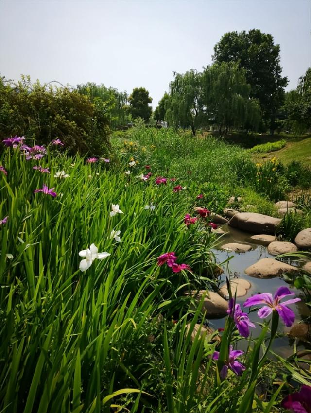 赞美春天的话，写一句赞美春天的话（有你未曾发现的风景）