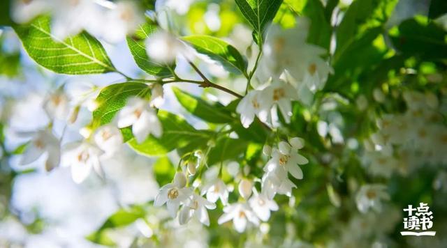 人生如梦下一句，人生如梦的下一句是什么（读读苏东坡这10句话）