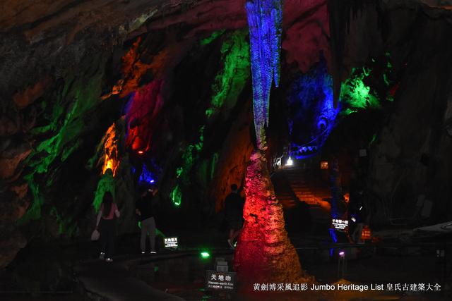 黔南布依族苗族州，娃娃鱼图片大全大图