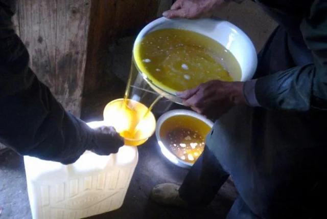 山茶油价格多少钱一斤，茶油多少钱一斤（还是现代工艺压榨的好）