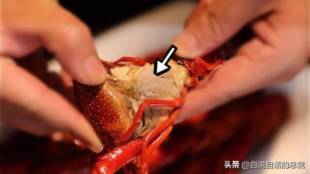 小龙虾属于海鲜类吗，小龙虾是海鲜吗（龙虾：从小龙虾到大花龙）