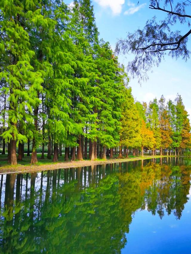 不如名师指路前面一句是什么，不如名师指路前面一句是什么成语（就是看透而不说透）