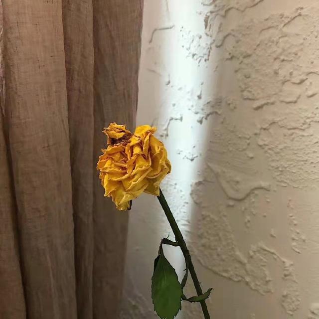 救赎是什么意思，救赎是什么意思爱情（救赎自己的句子）