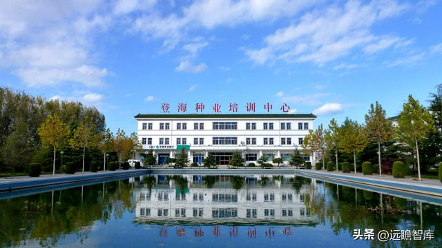 登海种业是做什么的，登海种业是做什么的呀（开创杂交玉米高产之路）