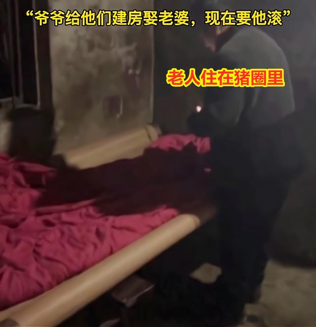 老人被抛弃住猪圈，老年人被抛弃（爷爷给他们建房娶妻）