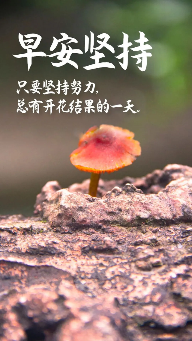 正能量满满的励志句子，正能量满满的励志句子简短（正能量推进梦想励志语句）