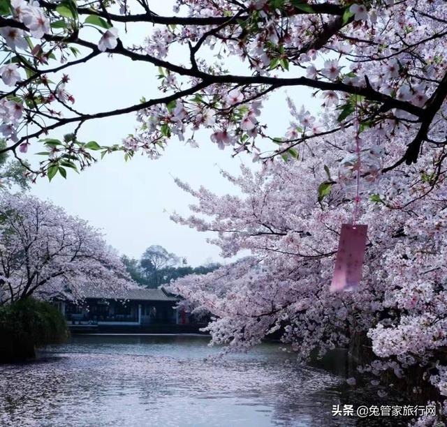 无锡一日游什么地方最值得去，无锡一日游什么地方最值得去玩（无锡旅游必打卡的六个景点）