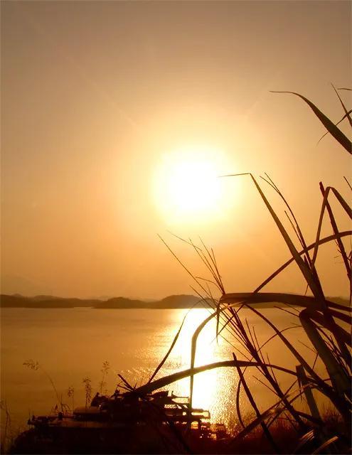 怎麼接,落日餘暉映晚霞,一抹夕陽美如畫,落日餘暉的唯美詩句發朋友圈