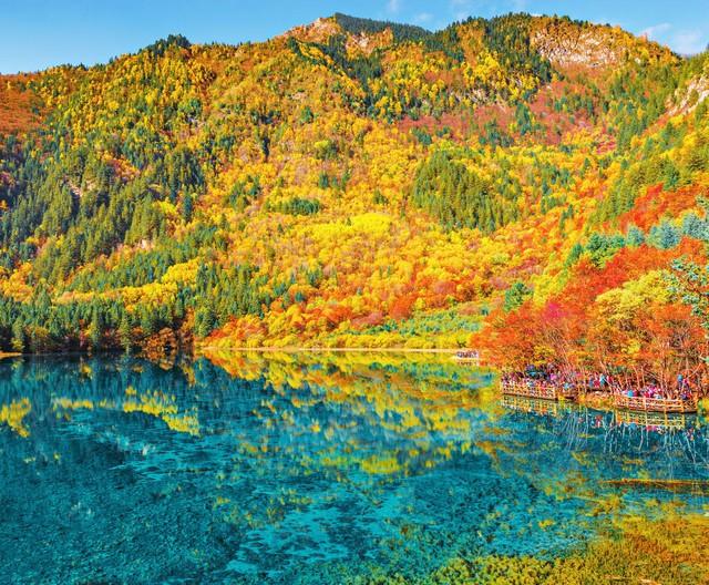 刚从九寨沟回来，总结我这几天的跟团游心得，别再踩坑了