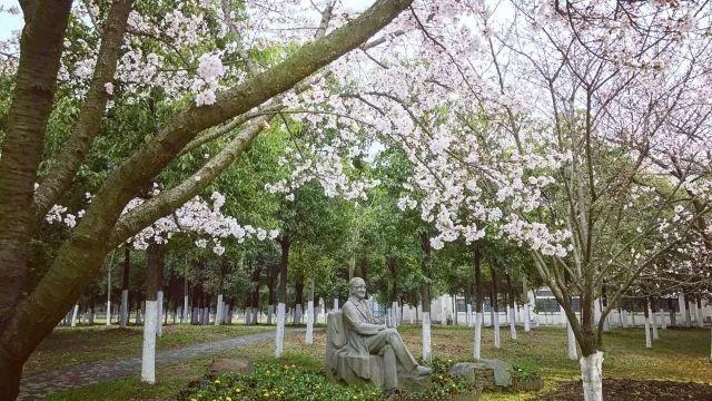 大学校花的欲与泪（高清大图惊艳曝光）