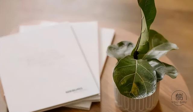 月亮与六便士经典句子，月亮和六便士的经典语录摘抄（《月亮与六便士》最经典的4句话）