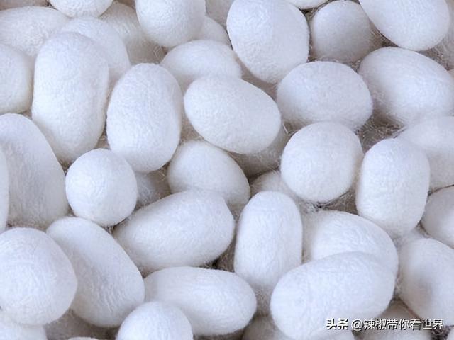 盐城特产介绍，盐城特产（大自然寂静之美造就这里的特色美食）